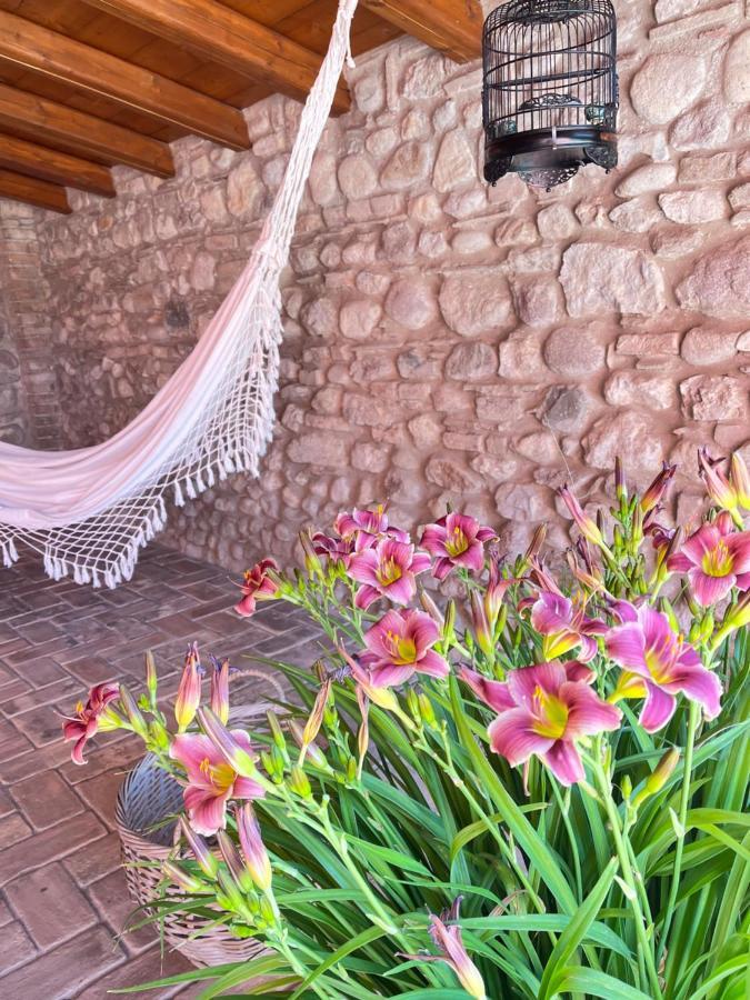 Le Mansarine Charme B&B Castellaro  Εξωτερικό φωτογραφία
